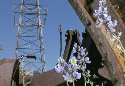 West Kern Oil Museum